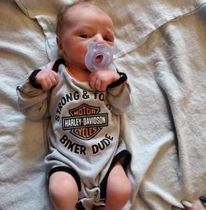 Meet your Posher, Guy